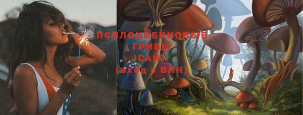 ПСИЛОЦИБИНОВЫЕ ГРИБЫ Лиски
