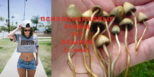 ПСИЛОЦИБИНОВЫЕ ГРИБЫ Лиски
