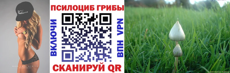 Галлюциногенные грибы Psilocybe  хочу   мега зеркало  Циолковский 